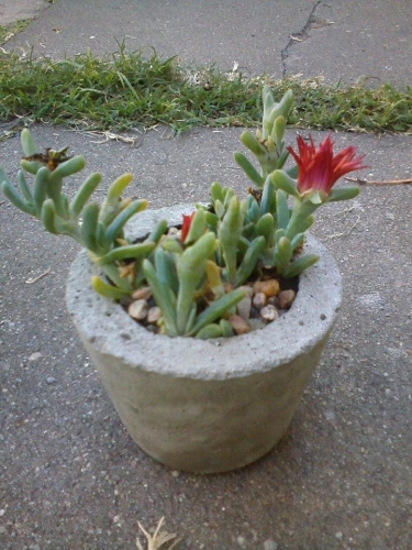 item4